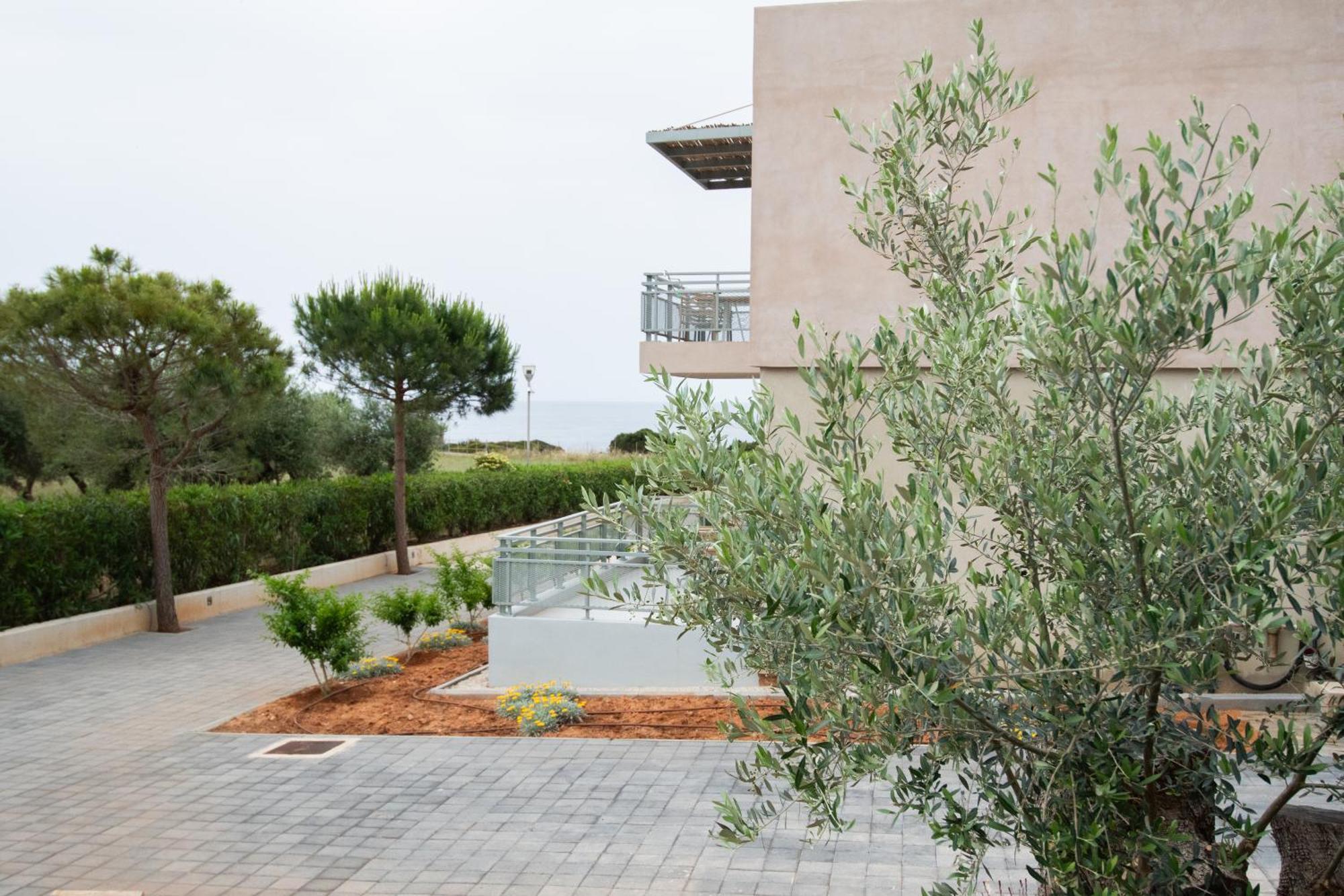 Callisto Seaside Homes & Suites Marathopoli Eksteriør billede