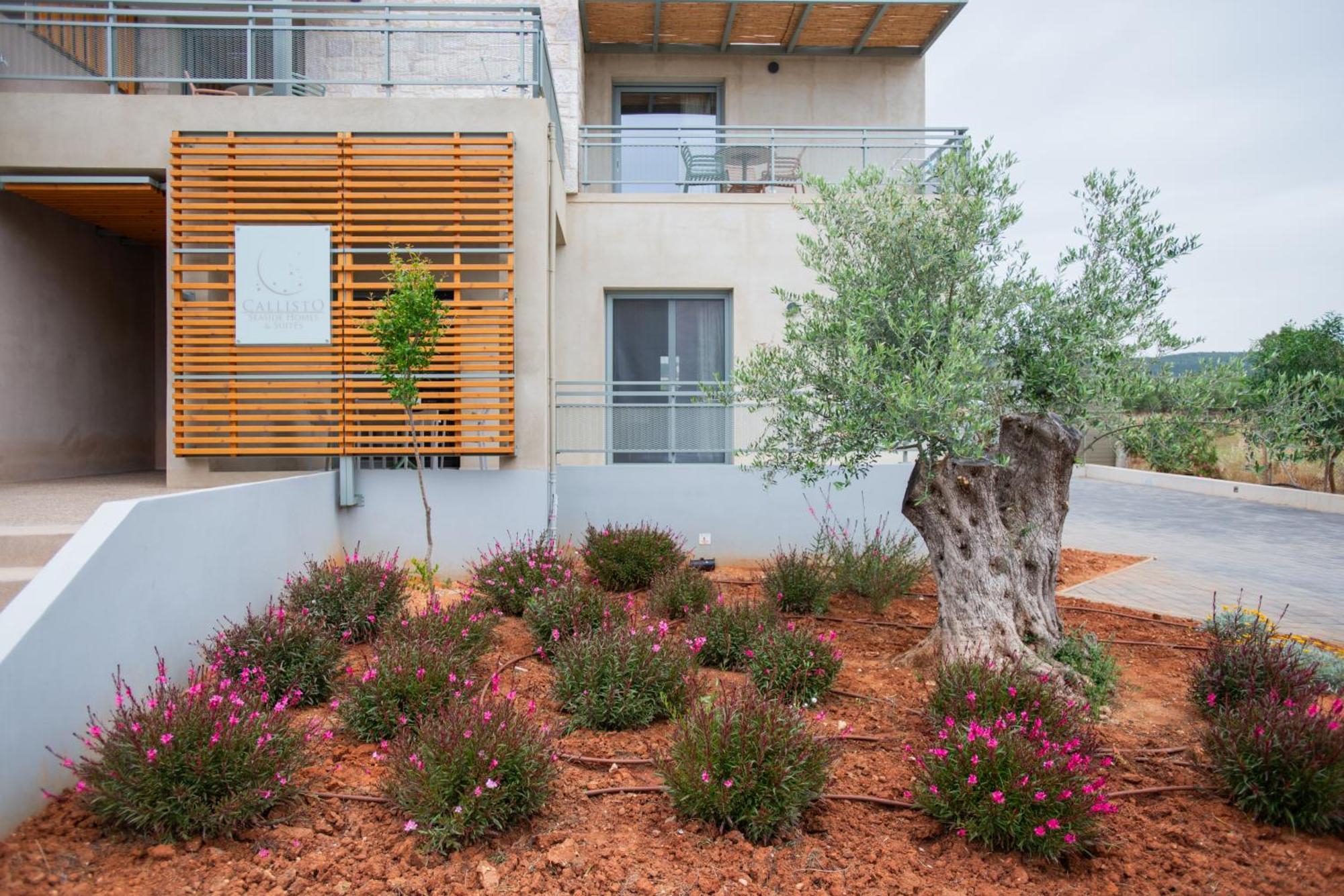 Callisto Seaside Homes & Suites Marathopoli Eksteriør billede